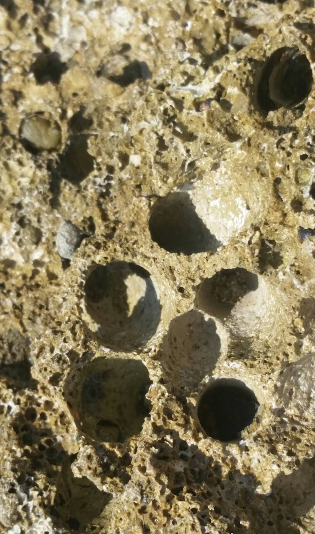 Chi ha fatto questi fori?